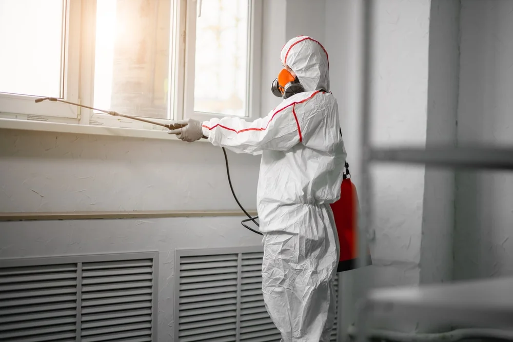 Professional mold remediation services in Kindred, ND